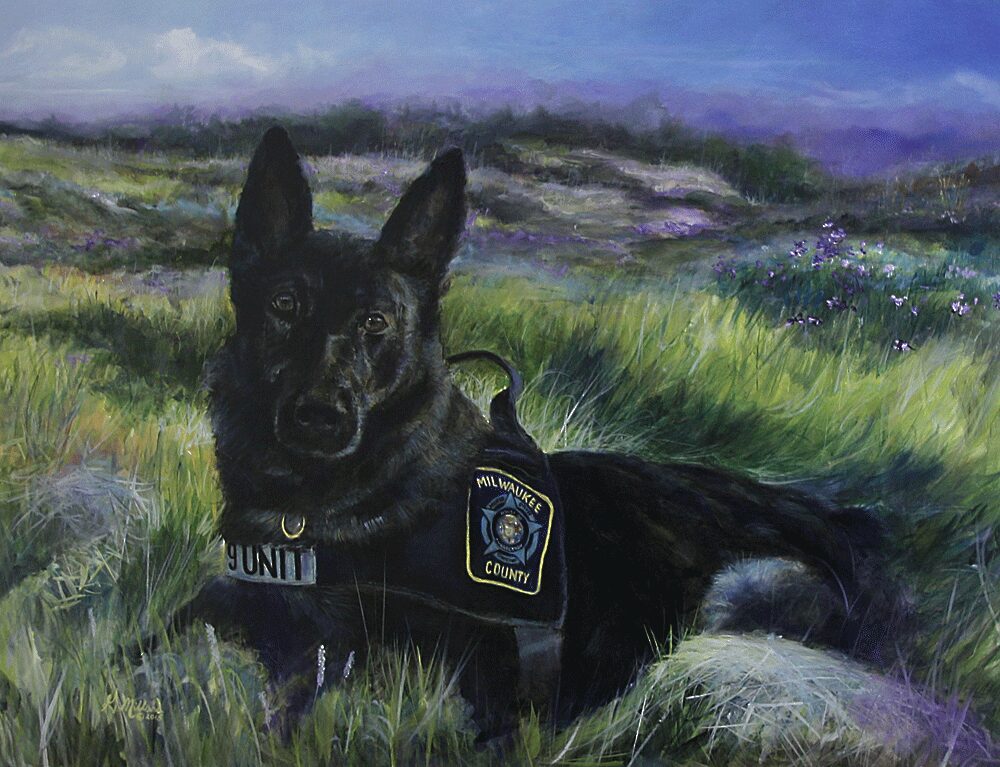 K9 Hawk, Police Officer, Milwaukee County House of Corrections