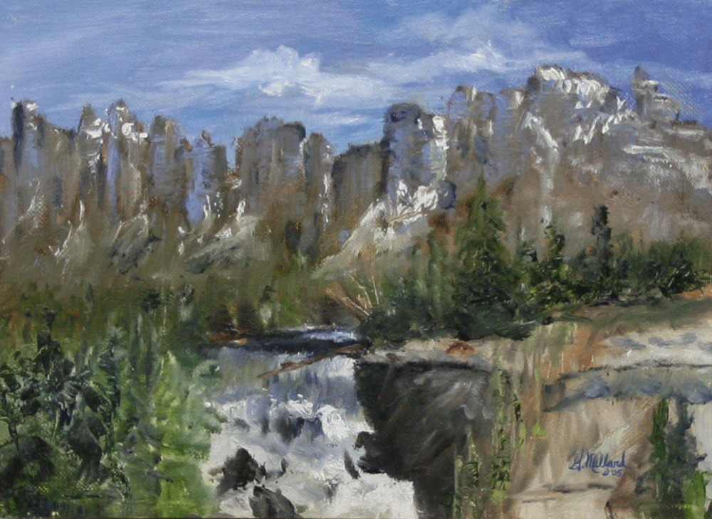 Back Woods Falls