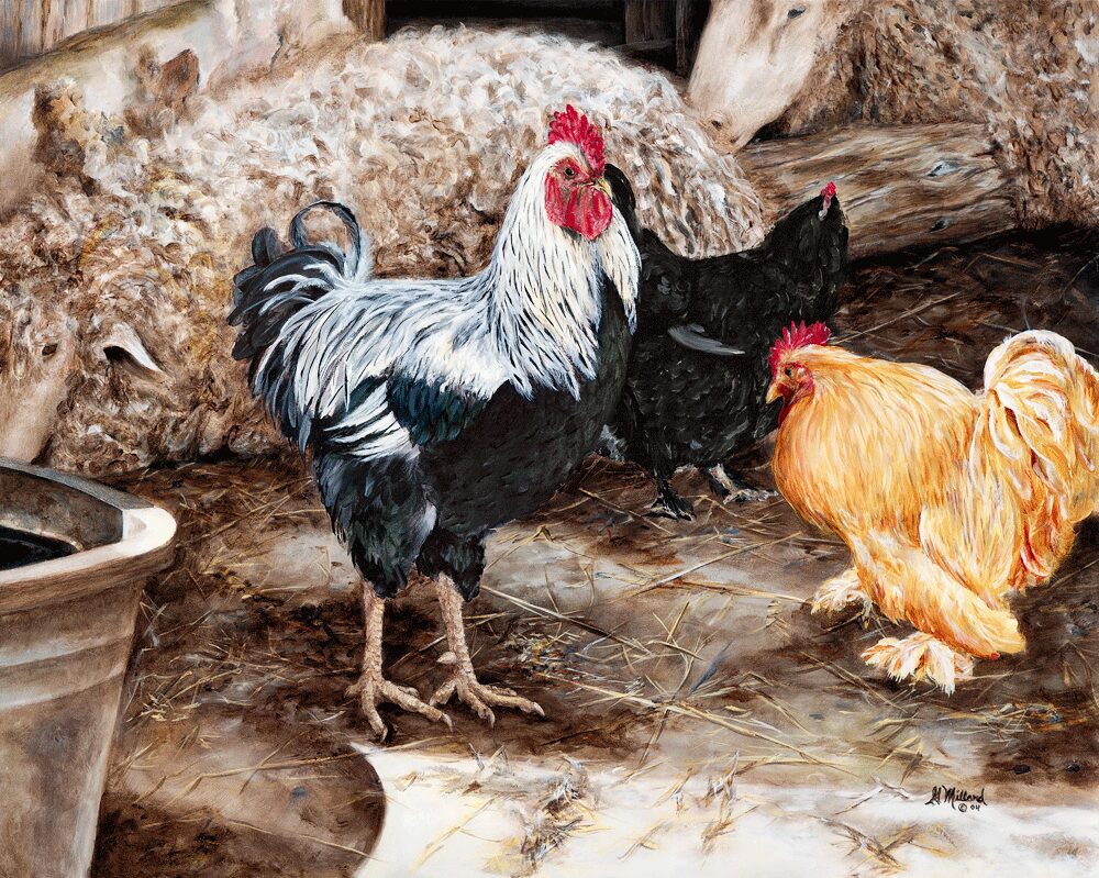 BarnYard Buddies