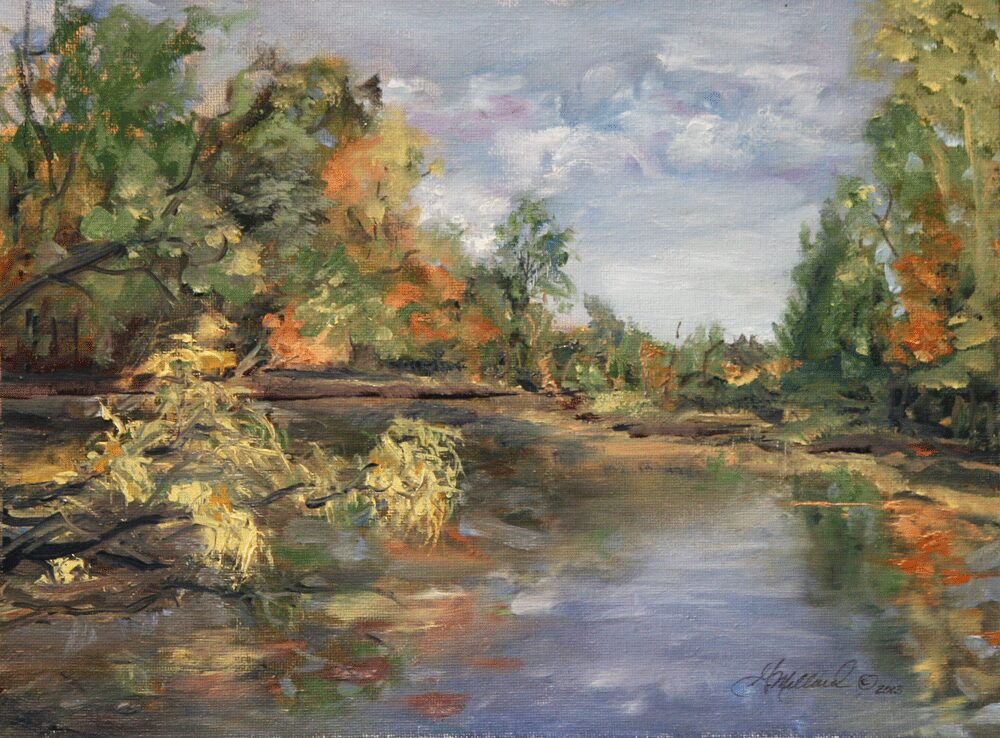 Carolyns Pond