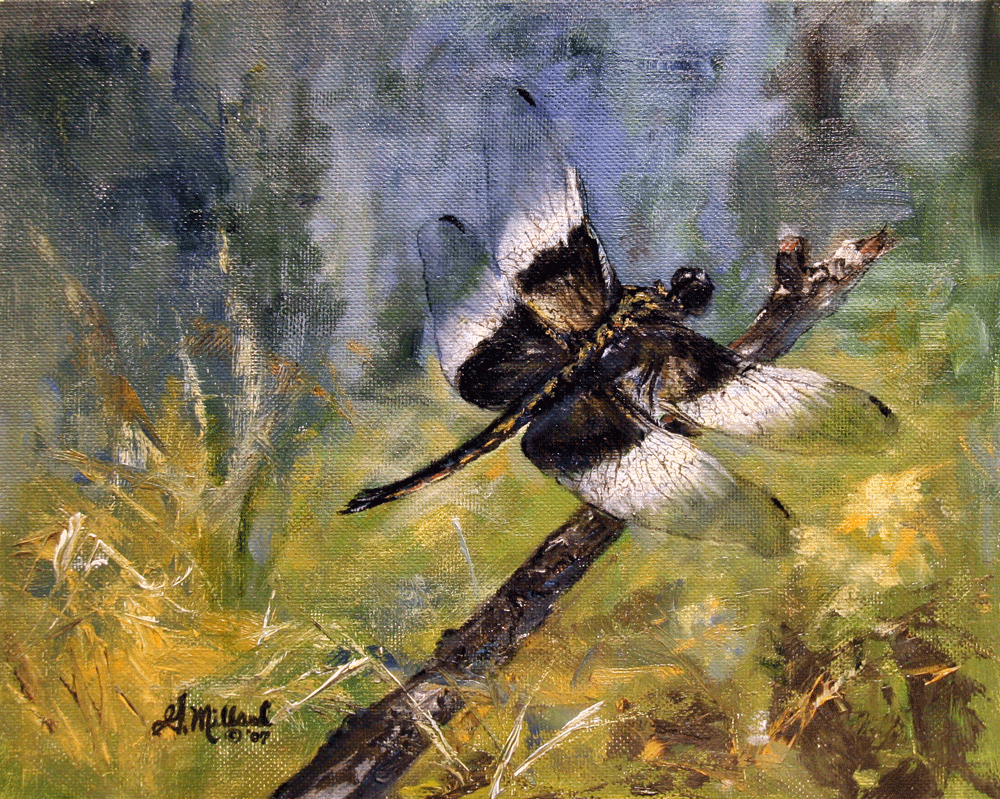 Dragon Fly