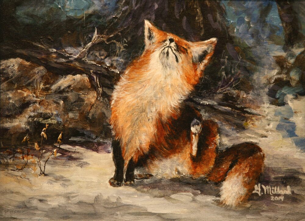 Two foxes interact playfully in a natural, forested setting.