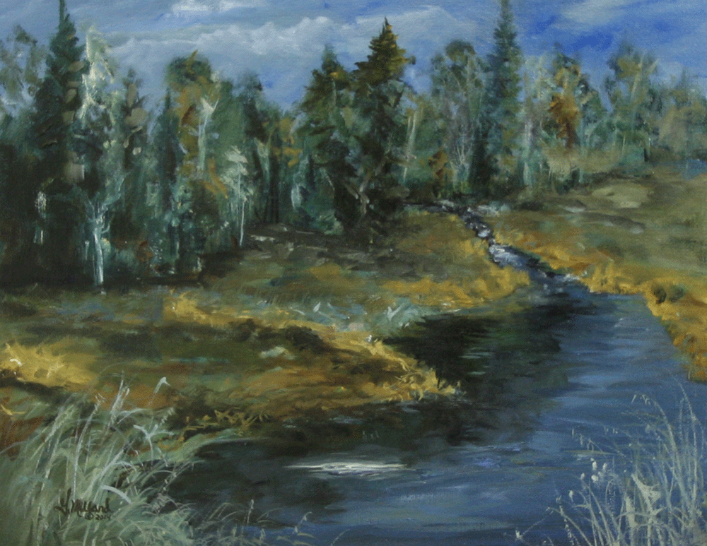 Mountian Meadow