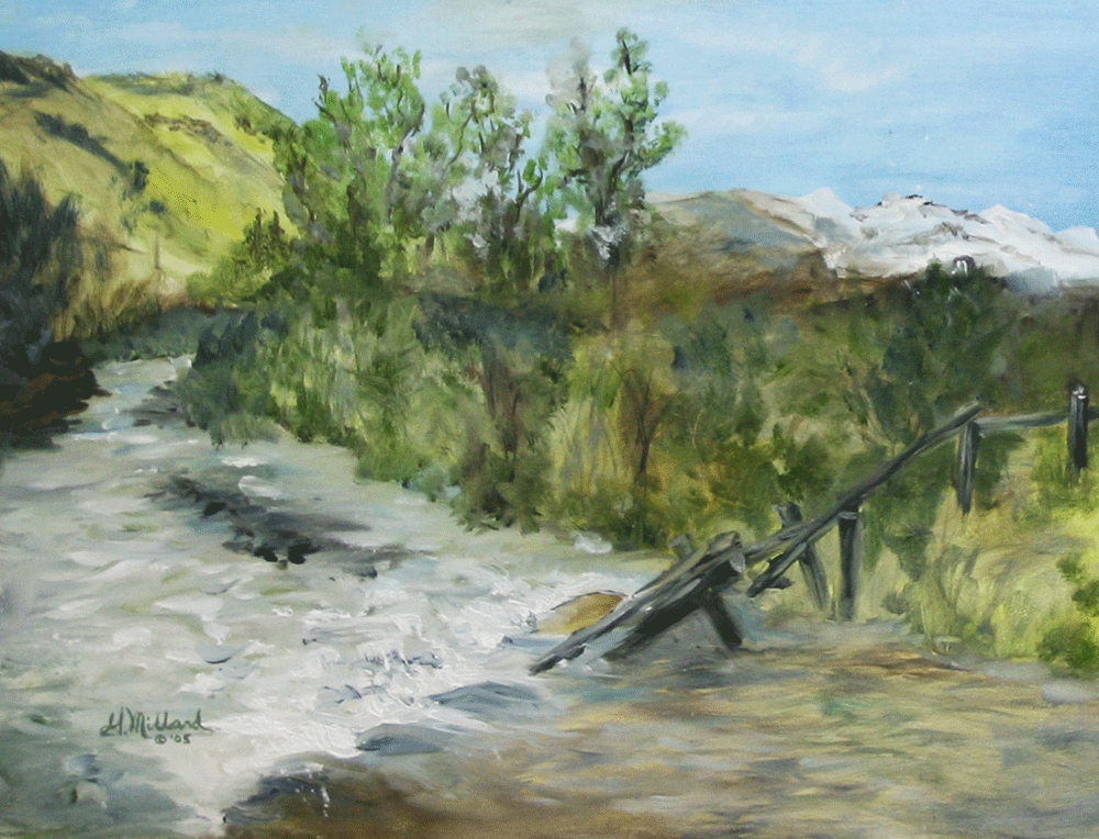 Washout